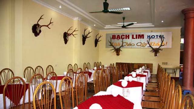 Khách sạn Bạch Lim 